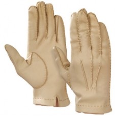 Dressing Gloves